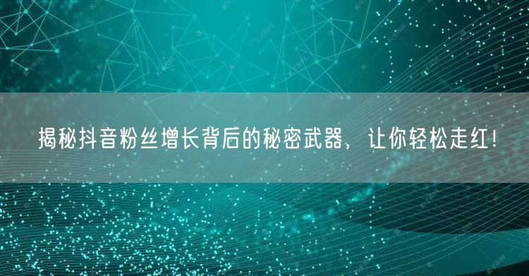 揭秘抖音粉丝增长背后的秘密武器，让你轻松走红！