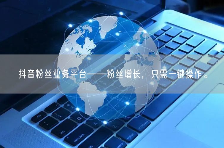 抖音粉丝业务平台——粉丝增长，只需一键操作。