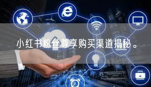 小红书粉丝尊享购买渠道揭秘。