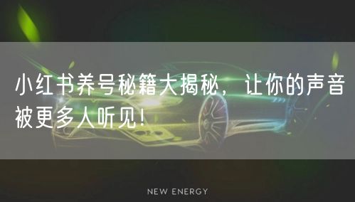 小红书养号秘籍大揭秘，让你的声音被更多人听见！