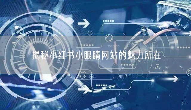 揭秘小红书小眼睛网站的魅力所在