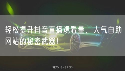 轻松提升抖音直播观看量，人气自助网站的秘密武器！
