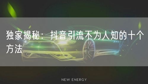 独家揭秘：抖音引流不为人知的十个方法