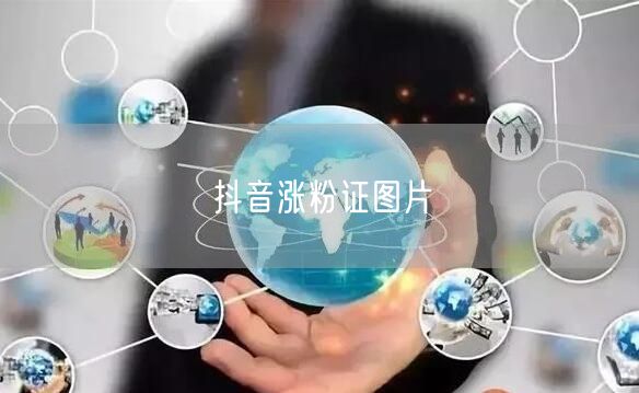抖音涨粉证图片