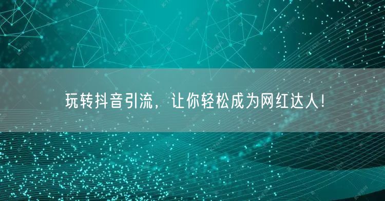 玩转抖音引流，让你轻松成为网红达人！